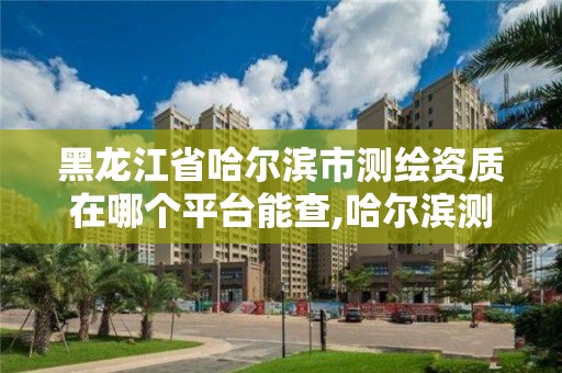 黑龙江省哈尔滨市测绘资质在哪个平台能查,哈尔滨测绘地理信息局。