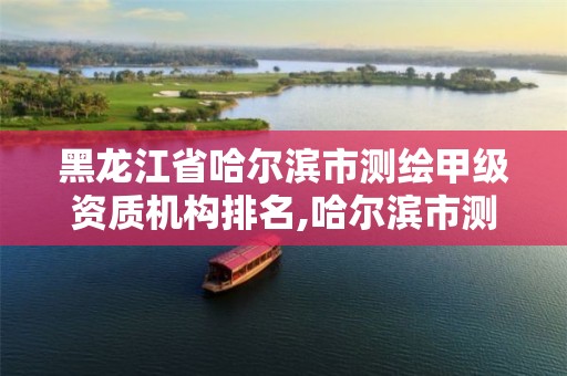 黑龙江省哈尔滨市测绘甲级资质机构排名,哈尔滨市测绘院