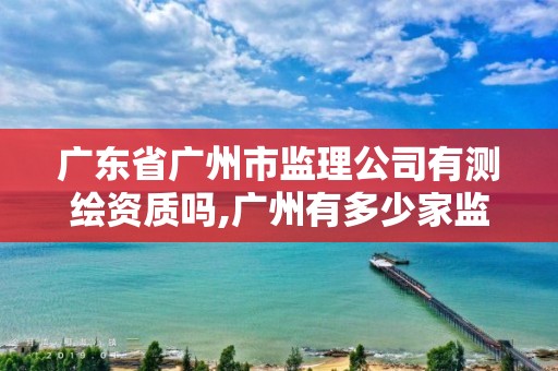 广东省广州市监理公司有测绘资质吗,广州有多少家监理公司