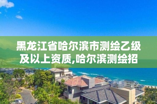 黑龙江省哈尔滨市测绘乙级及以上资质,哈尔滨测绘招聘