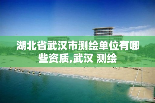 湖北省武汉市测绘单位有哪些资质,武汉 测绘