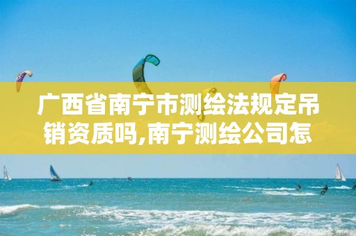 广西省南宁市测绘法规定吊销资质吗,南宁测绘公司怎么收费标准。