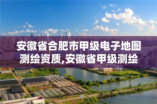 安徽省合肥市甲级电子地图测绘资质,安徽省甲级测绘资质单位。