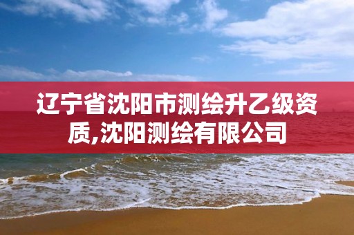 辽宁省沈阳市测绘升乙级资质,沈阳测绘有限公司