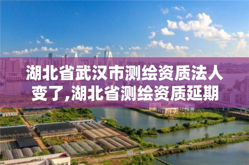 湖北省武汉市测绘资质法人变了,湖北省测绘资质延期一年