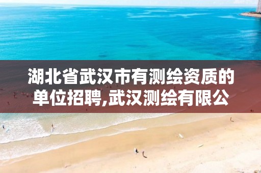 湖北省武汉市有测绘资质的单位招聘,武汉测绘有限公司。