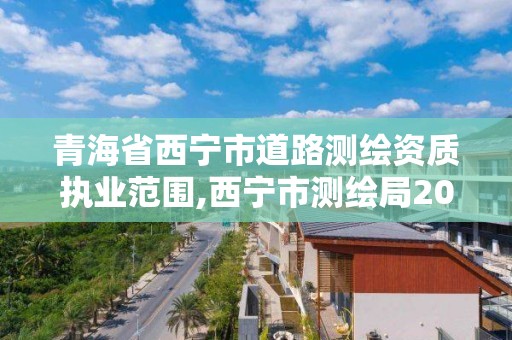 青海省西宁市道路测绘资质执业范围,西宁市测绘局2020招聘