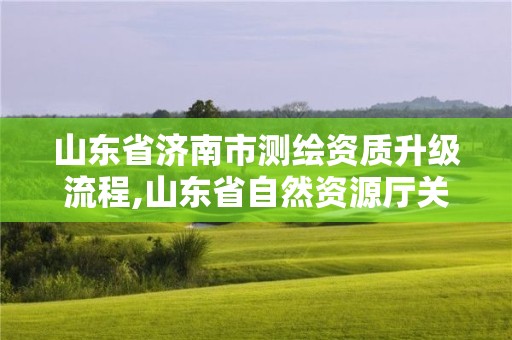 山东省济南市测绘资质升级流程,山东省自然资源厅关于延长测绘资质证书有效期的公告