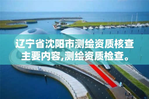 辽宁省沈阳市测绘资质核查主要内容,测绘资质检查。