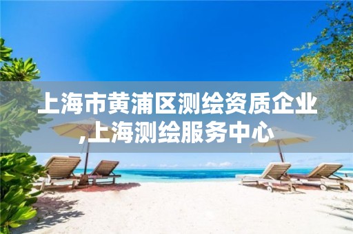 上海市黄浦区测绘资质企业,上海测绘服务中心