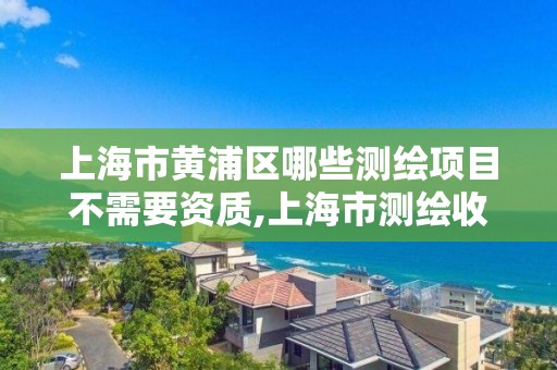 上海市黄浦区哪些测绘项目不需要资质,上海市测绘收费标准。