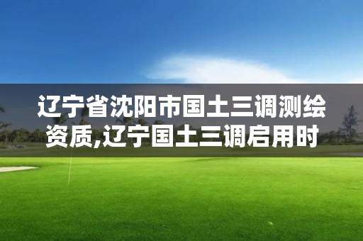 辽宁省沈阳市国土三调测绘资质,辽宁国土三调启用时间