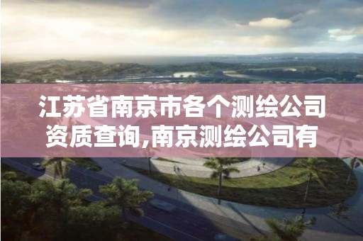 江苏省南京市各个测绘公司资质查询,南京测绘公司有哪些