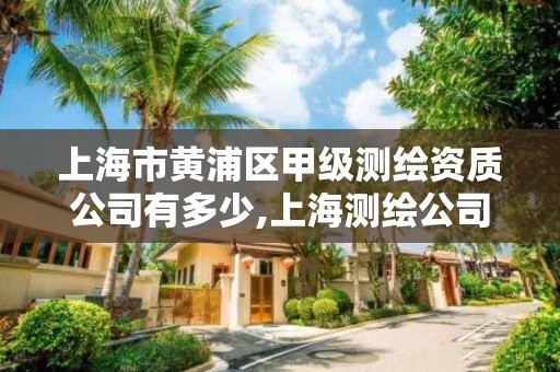 上海市黄浦区甲级测绘资质公司有多少,上海测绘公司有哪几家。