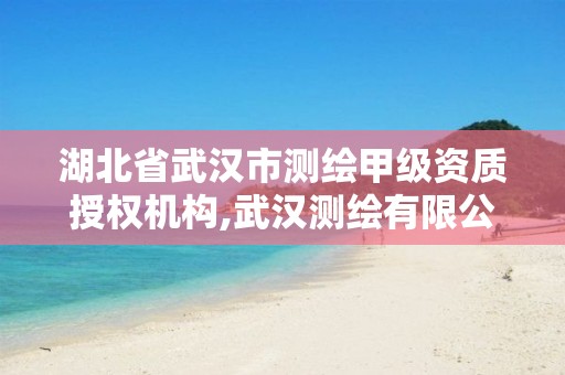 湖北省武汉市测绘甲级资质授权机构,武汉测绘有限公司