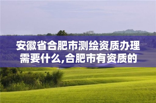 安徽省合肥市测绘资质办理需要什么,合肥市有资质的测绘公司