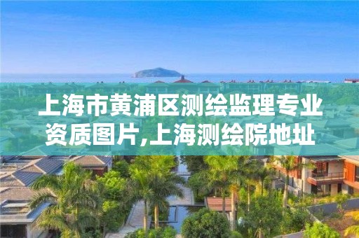 上海市黄浦区测绘监理专业资质图片,上海测绘院地址浦东