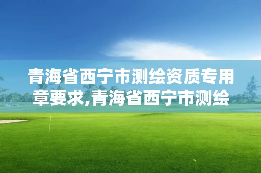 青海省西宁市测绘资质专用章要求,青海省西宁市测绘资质专用章要求有哪些