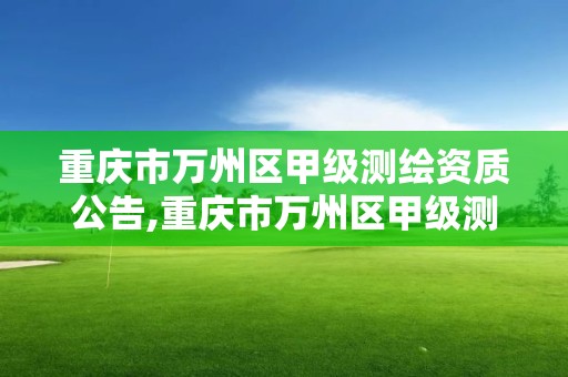 重庆市万州区甲级测绘资质公告,重庆市万州区甲级测绘资质公告名单