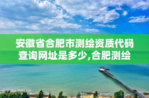 安徽省合肥市测绘资质代码查询网址是多少,合肥测绘局