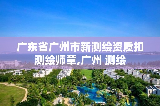 广东省广州市新测绘资质扣测绘师章,广州 测绘