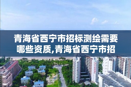 青海省西宁市招标测绘需要哪些资质,青海省西宁市招标测绘需要哪些资质证书