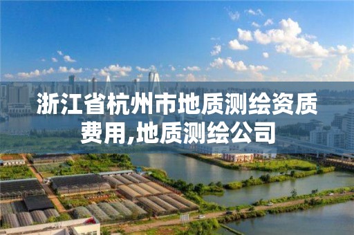 浙江省杭州市地质测绘资质费用,地质测绘公司