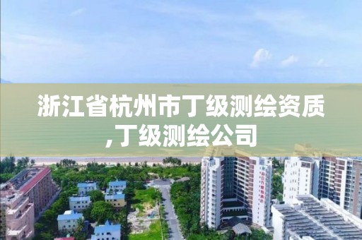 浙江省杭州市丁级测绘资质,丁级测绘公司