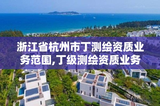 浙江省杭州市丁测绘资质业务范围,丁级测绘资质业务范围