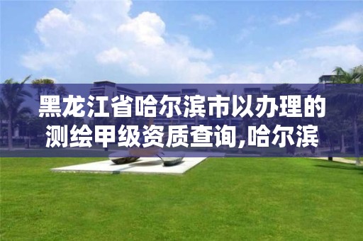 黑龙江省哈尔滨市以办理的测绘甲级资质查询,哈尔滨测绘局是干什么的。