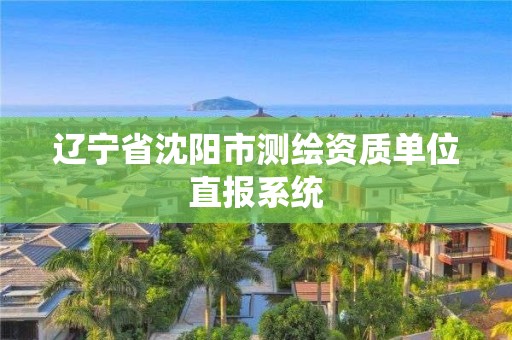 辽宁省沈阳市测绘资质单位直报系统