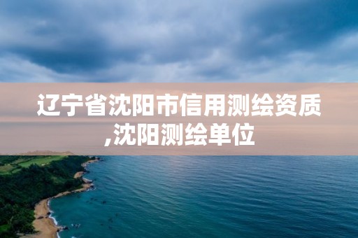 辽宁省沈阳市信用测绘资质,沈阳测绘单位