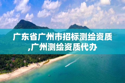 广东省广州市招标测绘资质,广州测绘资质代办