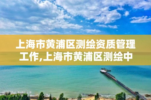 上海市黄浦区测绘资质管理工作,上海市黄浦区测绘中心