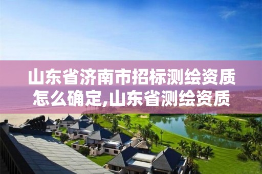 山东省济南市招标测绘资质怎么确定,山东省测绘资质专用章