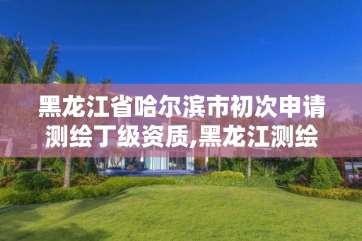 黑龙江省哈尔滨市初次申请测绘丁级资质,黑龙江测绘公司乙级资质