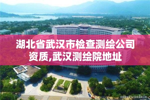 湖北省武汉市检查测绘公司资质,武汉测绘院地址