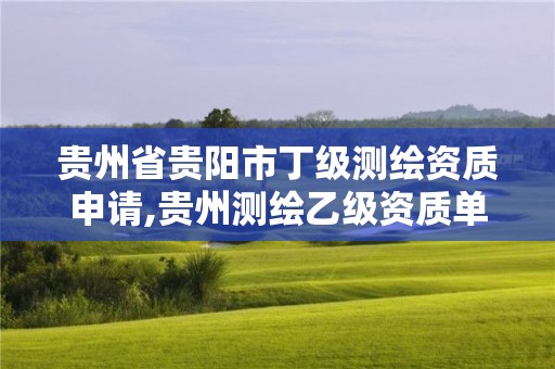 贵州省贵阳市丁级测绘资质申请,贵州测绘乙级资质单位