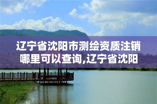 辽宁省沈阳市测绘资质注销哪里可以查询,辽宁省沈阳市测绘资质注销哪里可以查询到。