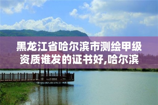 黑龙江省哈尔滨市测绘甲级资质谁发的证书好,哈尔滨的测绘公司有哪些。