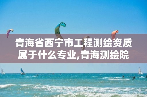 青海省西宁市工程测绘资质属于什么专业,青海测绘院属于什么单位