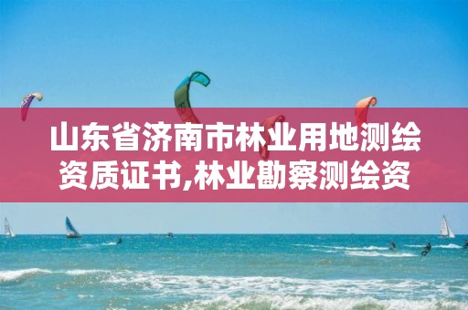 山东省济南市林业用地测绘资质证书,林业勘察测绘资质。