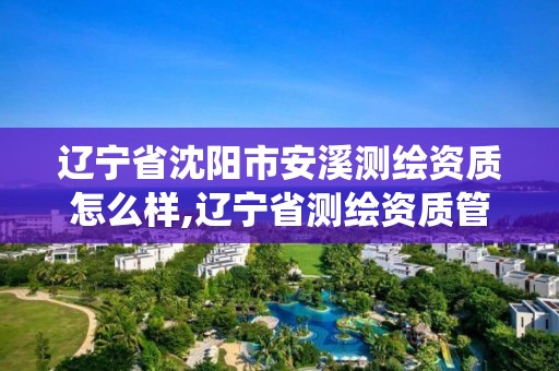 辽宁省沈阳市安溪测绘资质怎么样,辽宁省测绘资质管理信息系统