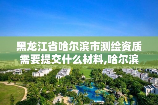 黑龙江省哈尔滨市测绘资质需要提交什么材料,哈尔滨测绘局是干什么的。