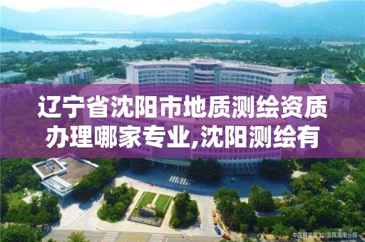 辽宁省沈阳市地质测绘资质办理哪家专业,沈阳测绘有限公司。