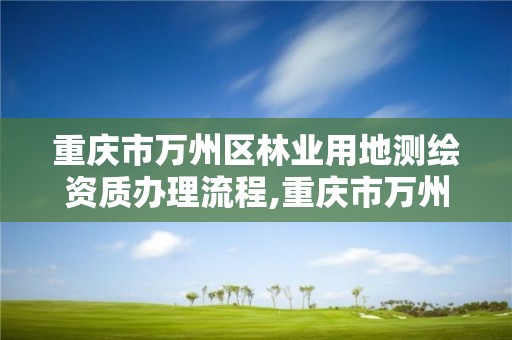 重庆市万州区林业用地测绘资质办理流程,重庆市万州区林业用地测绘资质办理流程图