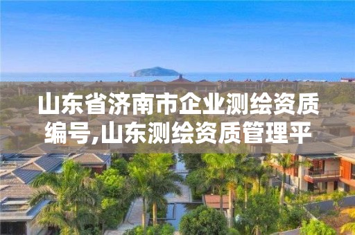 山东省济南市企业测绘资质编号,山东测绘资质管理平台