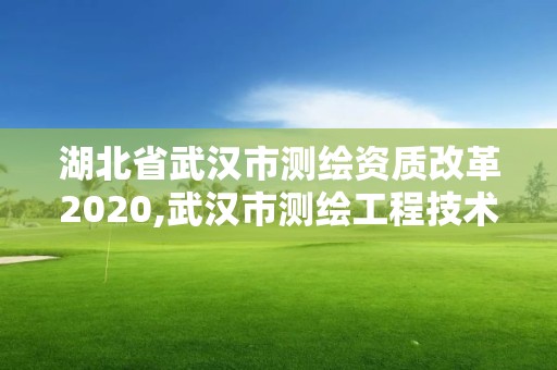 湖北省武汉市测绘资质改革2020,武汉市测绘工程技术规定