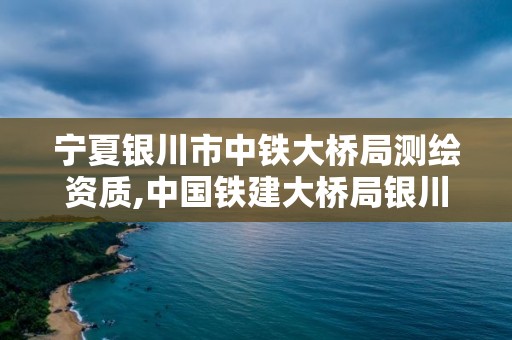 宁夏银川市中铁大桥局测绘资质,中国铁建大桥局银川