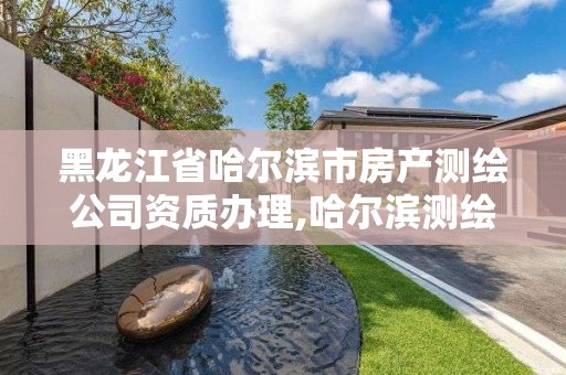 黑龙江省哈尔滨市房产测绘公司资质办理,哈尔滨测绘局小区